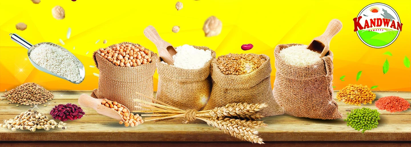 بازرگانی کندوان تجارت