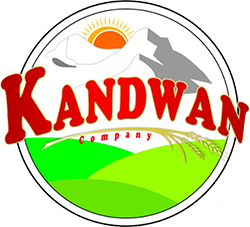 کندوان تجارت پارسیان